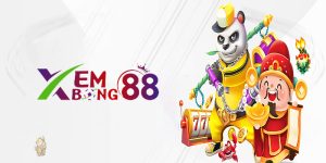 11bet - Địa chỉ tin cậy cho người yêu thích cá cược online